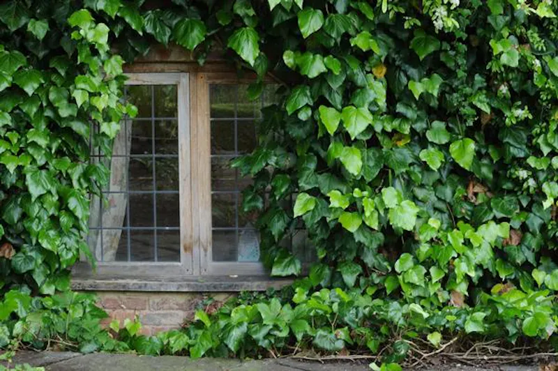 Modernised medieval Reading house, M280 (photo 31)