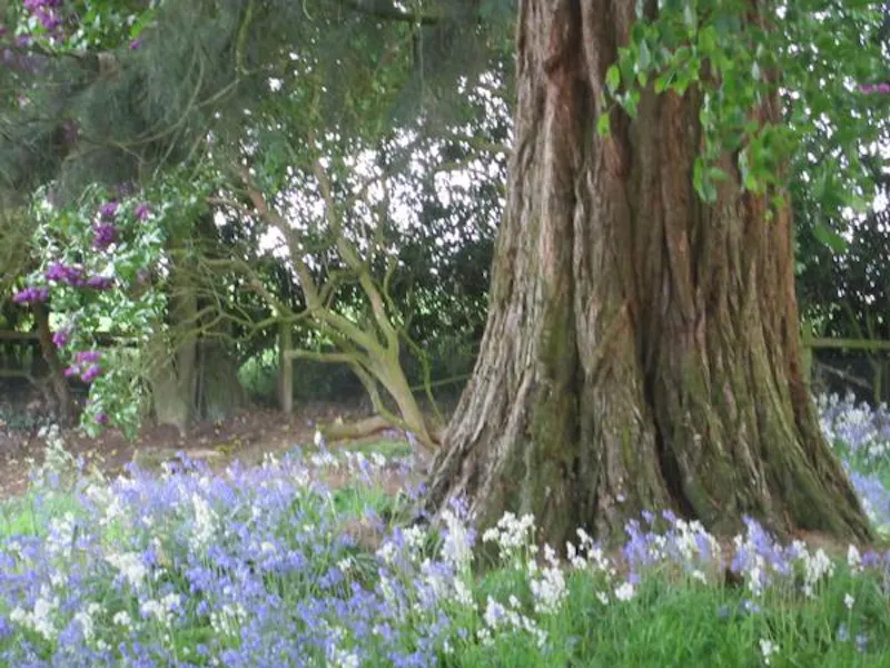 Film location C827 in Yorkshire (photo 50)