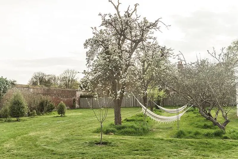 Garden at Intriguing curved Hampton house, D2109 (photo 39)