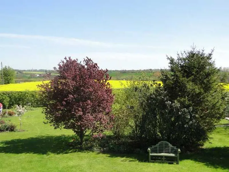 Film location L638 in Suffolk (photo 17)