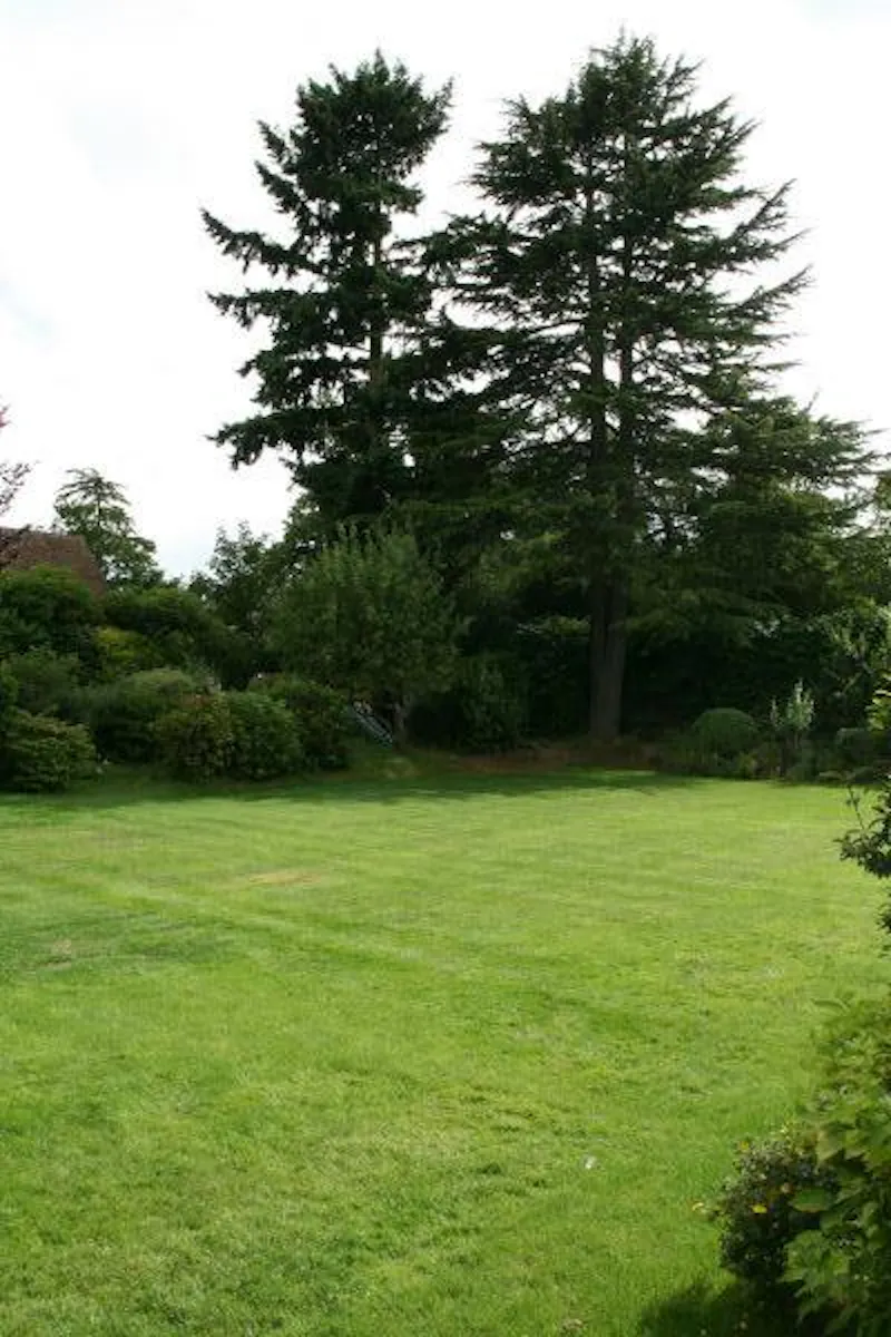 Film location D2115 in Buckinghamshire (photo 32)