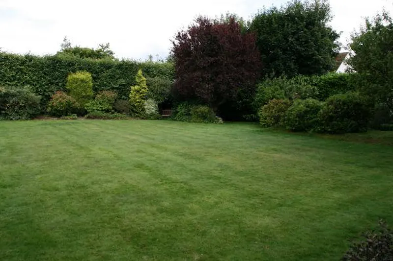 Film location D2115 in Buckinghamshire (photo 33)