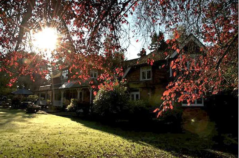 Film location D2117 in Surrey (photo 19)