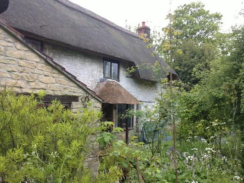 Garden at Film location C831 in Dorset (photo 1)