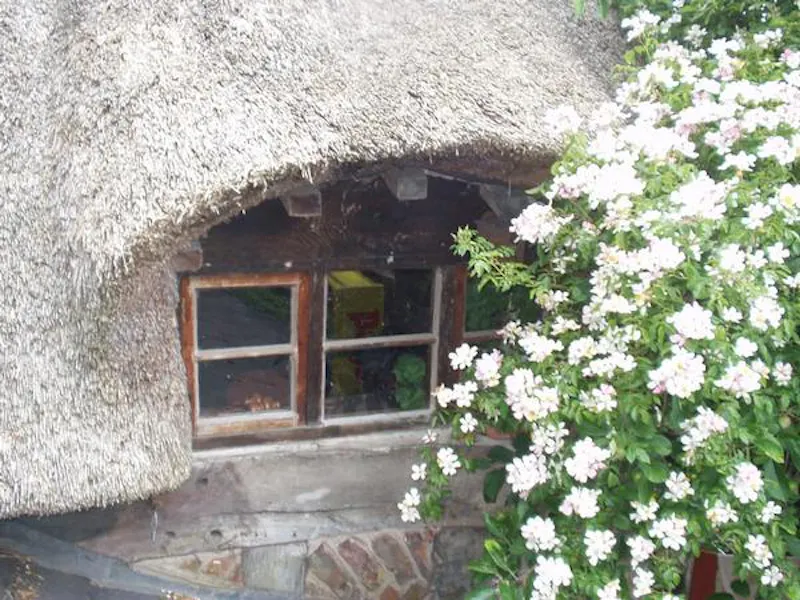 Film location C834 in Cheshire (photo 31)