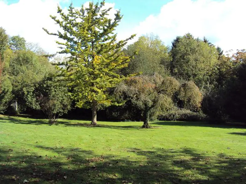 Authentic Ipsden country house, H168 (photo 69)