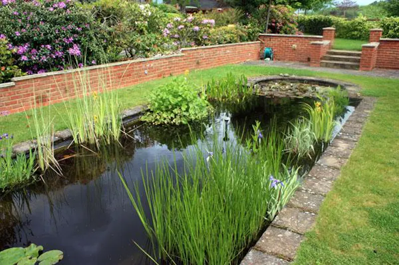 Pond at Film location C835 in Essex (photo 23)