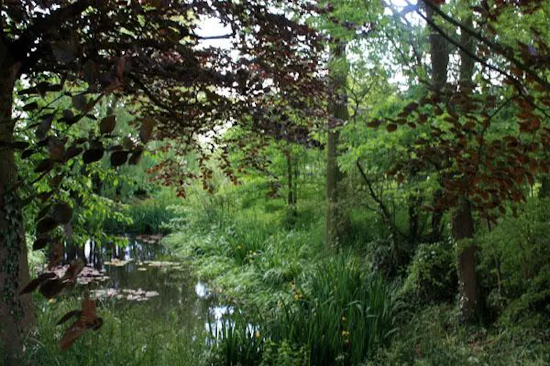Film location C835 in Essex (photo 28)