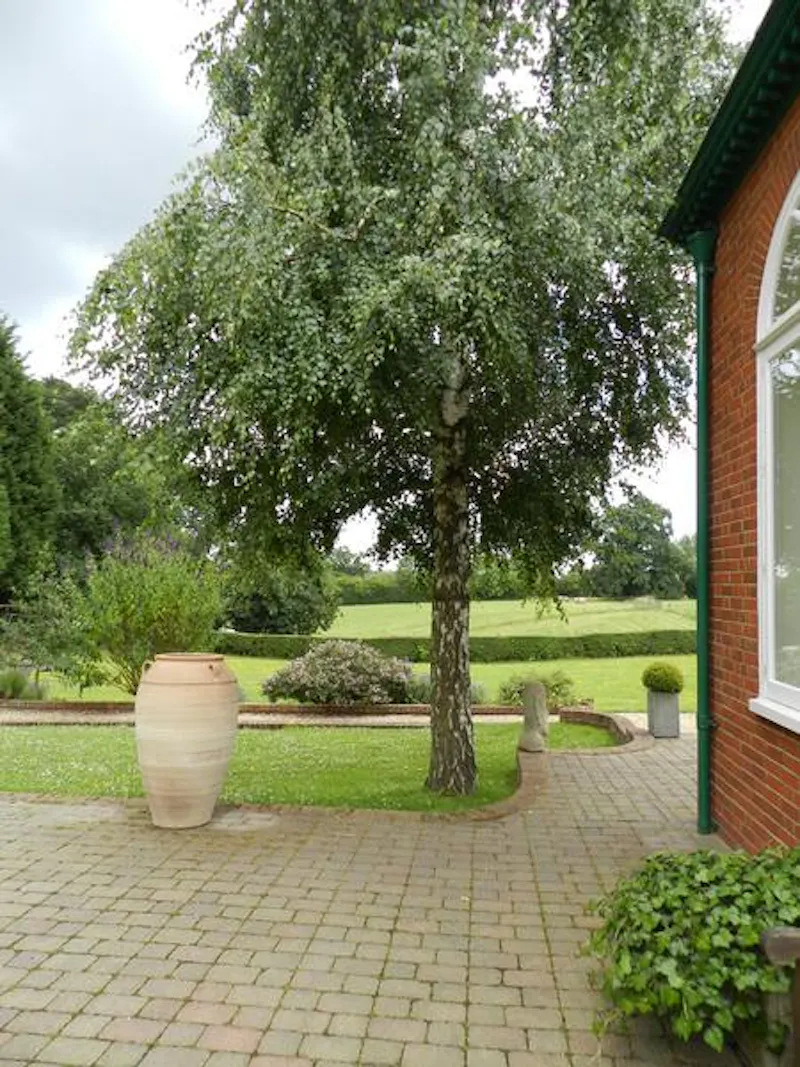 Film location E296 in Hertfordshire (photo 19)