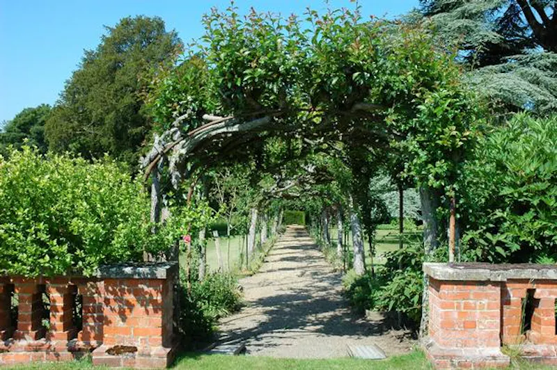 Garden - wild at Kemsing estate, A1309 (photo 38)