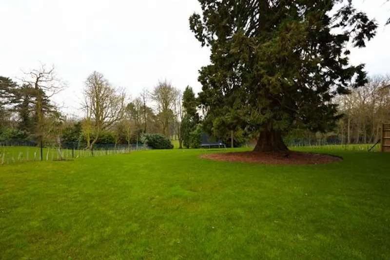 Modern Bishop's Stortford Home, D2141 (photo 23)