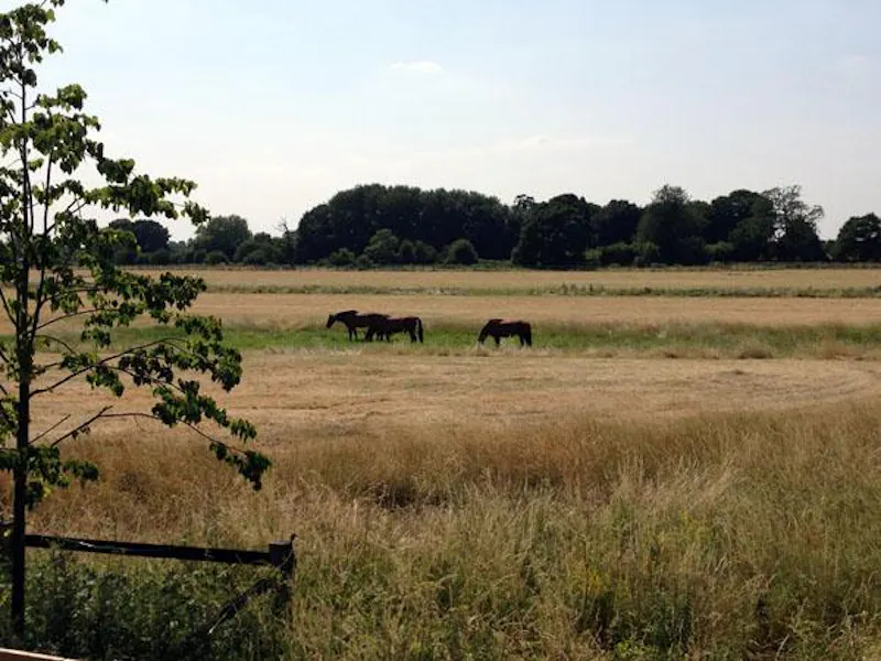 Views - country at Stunning modern Surbiton house, K375 (photo 23)