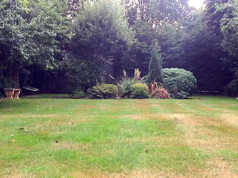 Garden at Tudor style warm Watford home, M284 (photo 39)