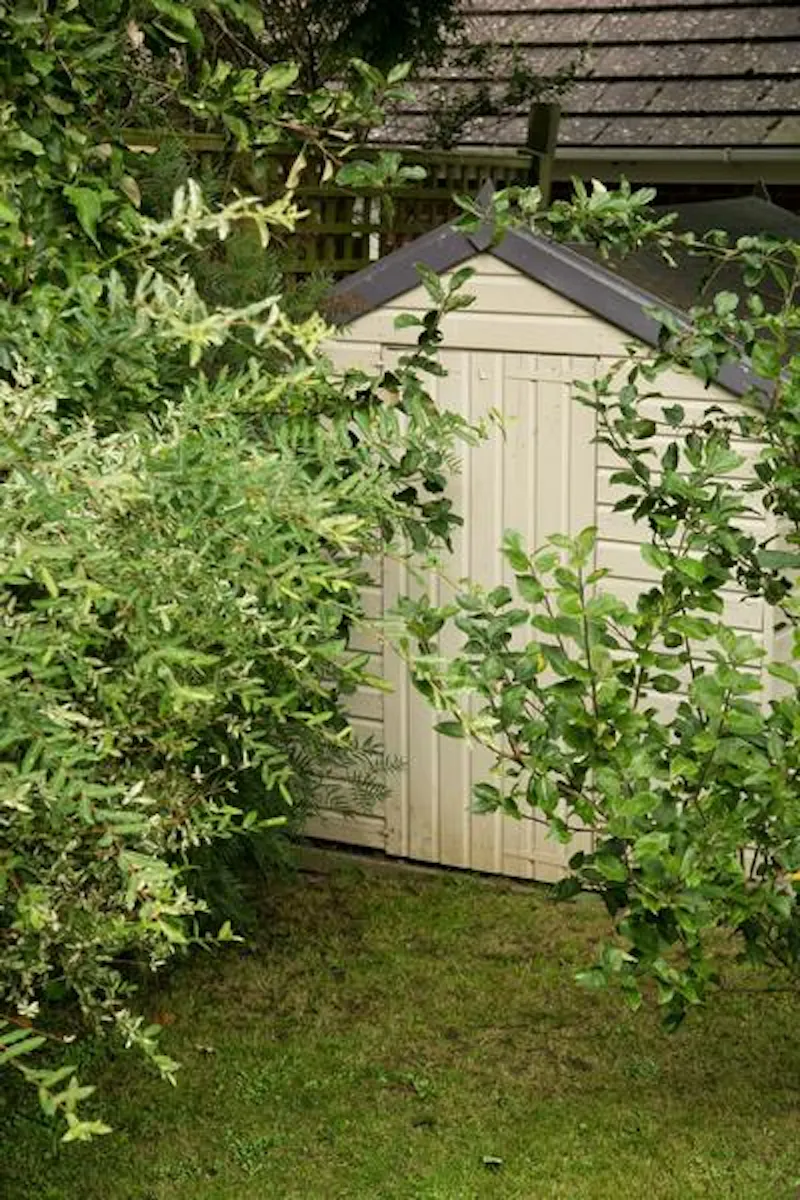 Shed at Film location D2162 in Kent (photo 22)
