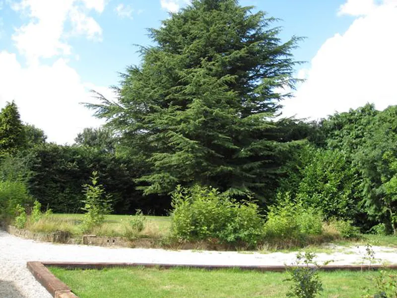 Film location C844 in Essex (photo 31)
