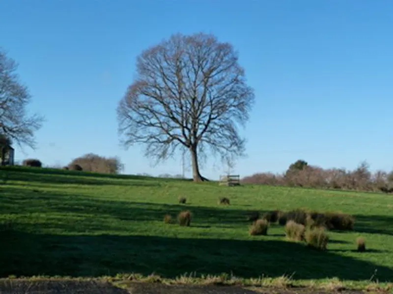 East Stour country house, B1627 (photo 21)