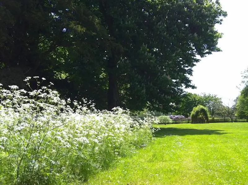Broadwell country house, B1628 (photo 20)
