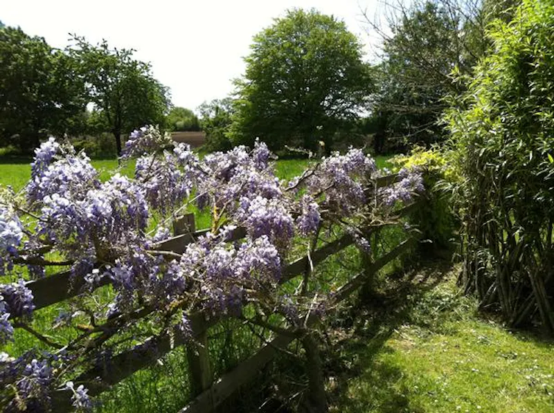Broadwell country house, B1628 (photo 21)