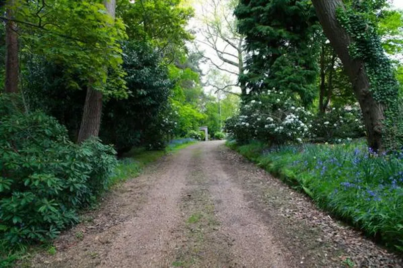 Film location E392 in East Sussex (photo 21)