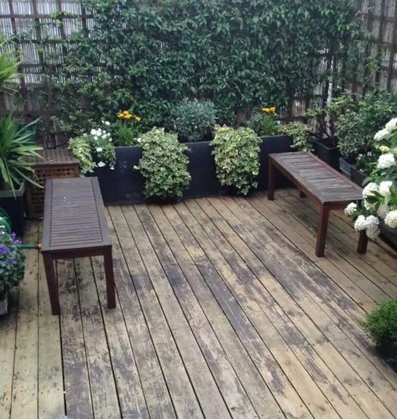 Garden at Cool Stoke Newington apartment, F1041 (photo 14)