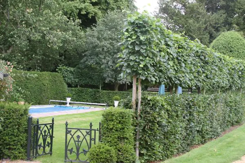 Charming Towcester rectory, A1335 (photo 29)