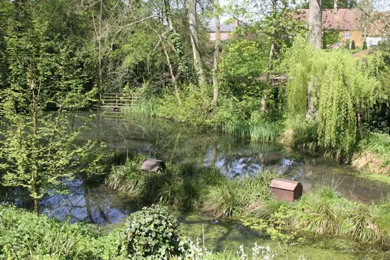 Pond at Charming Towcester rectory, A1335 (photo 31)