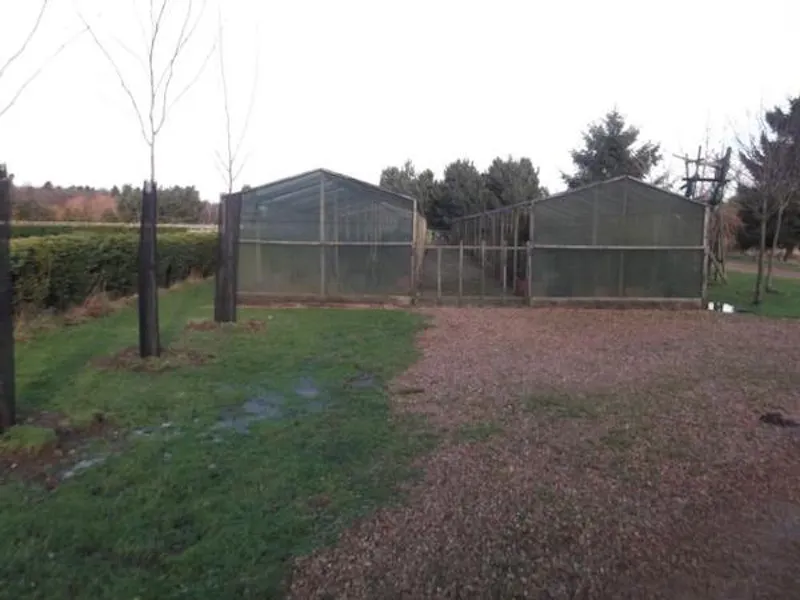 Film location L647 in Northamptonshire (photo 16)
