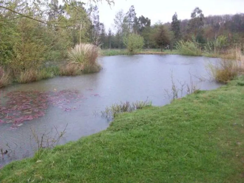 Film location L647 in Northamptonshire (photo 20)