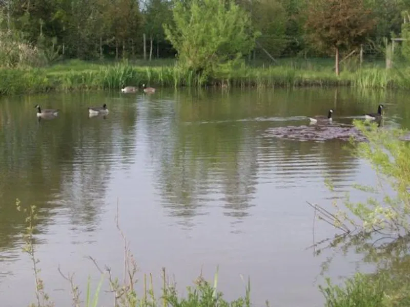 Film location L647 in Northamptonshire (photo 21)