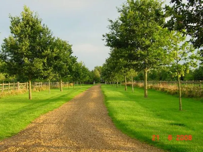 Film location L647 in Northamptonshire (photo 27)