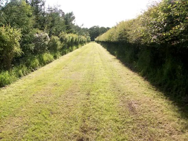 Film location L647 in Northamptonshire (photo 28)