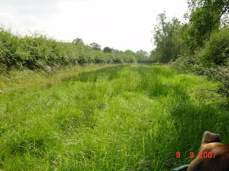 Garden at Film location L647 in Northamptonshire (photo 30)