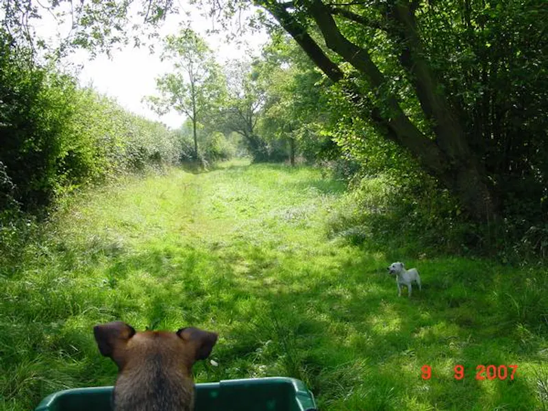 Film location L647 in Northamptonshire (photo 31)