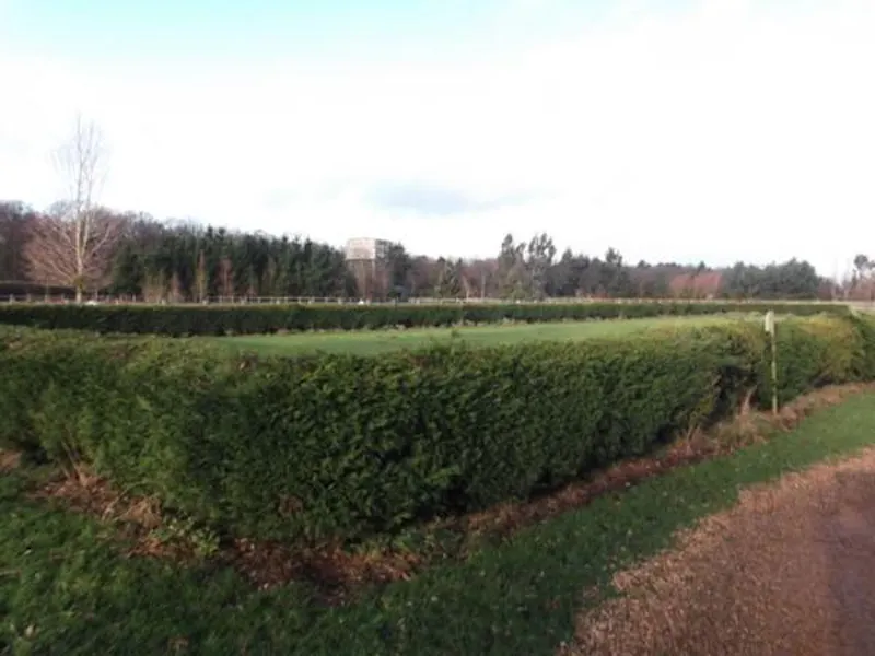 Film location L647 in Northamptonshire (photo 34)