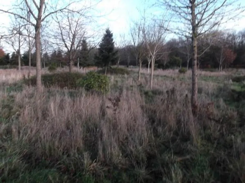 Film location L647 in Northamptonshire (photo 1)