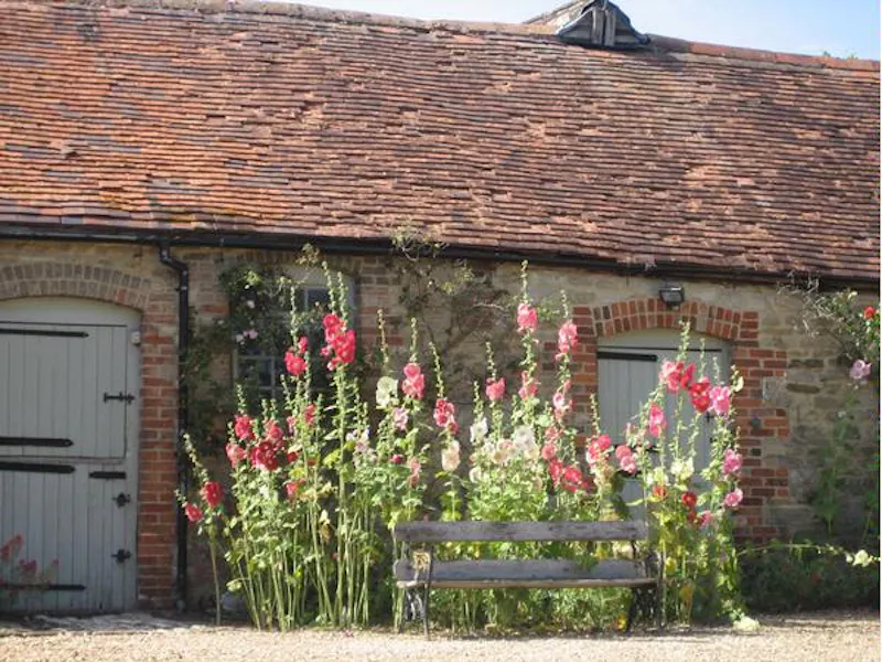 Manor House in Bicester, A1000 (photo 25)