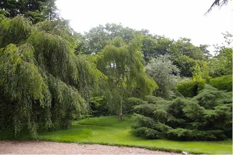 Film location D2080 in Surrey (photo 2)