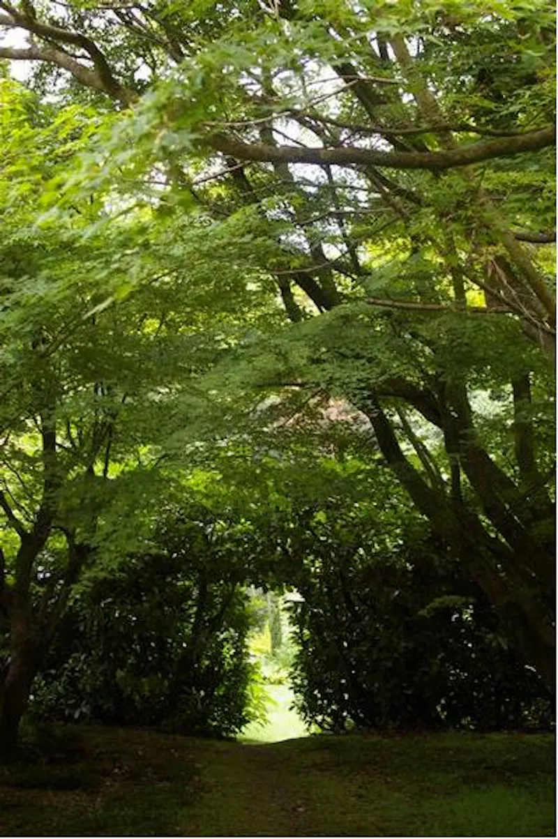 Film location D2080 in Surrey (photo 3)