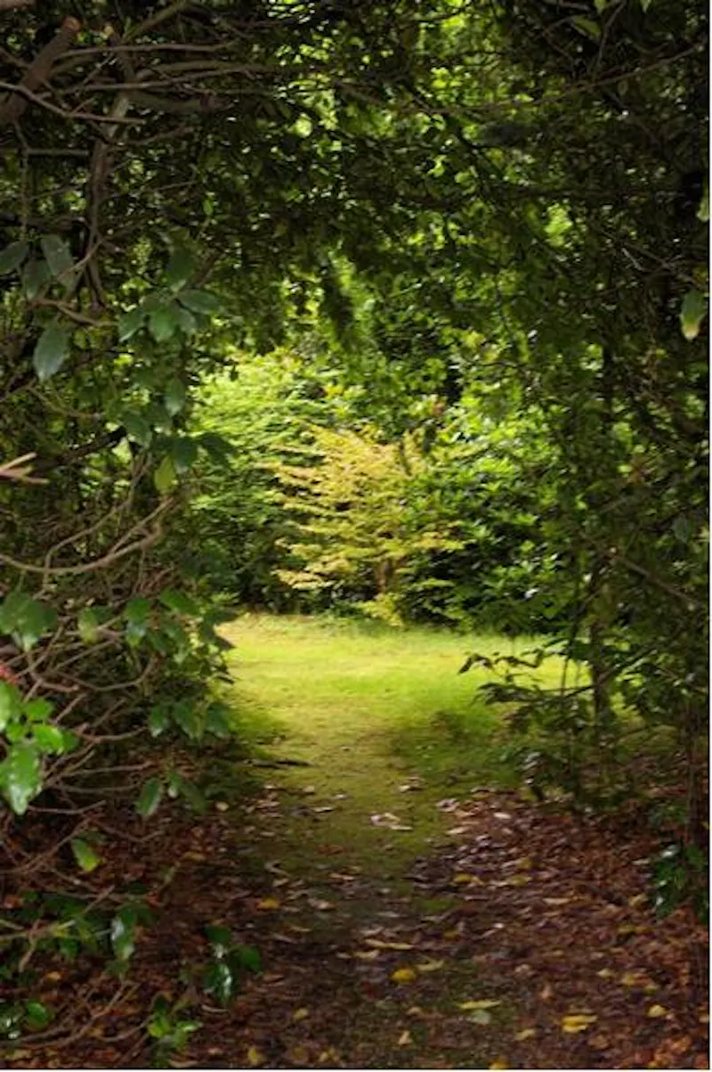 Film location D2080 in Surrey (photo 5)