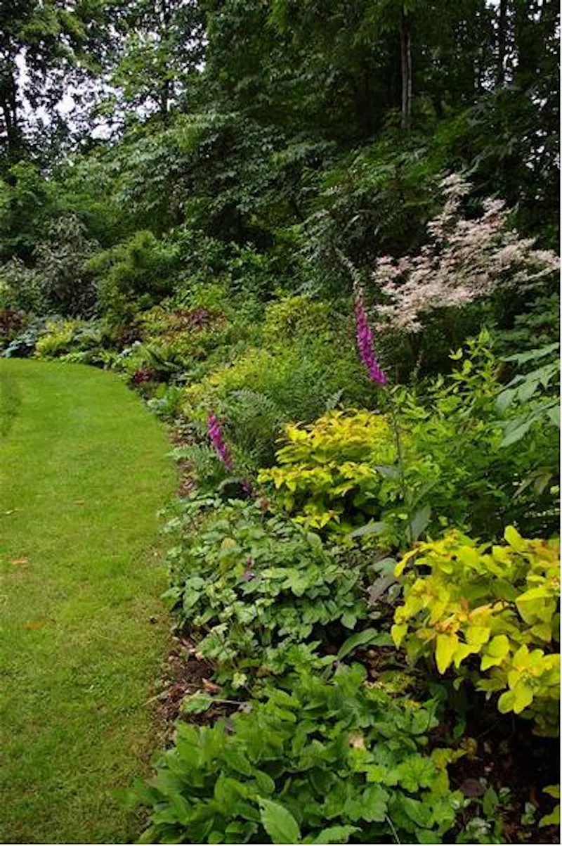 Garden at Film location D2080 in Surrey (photo 6)