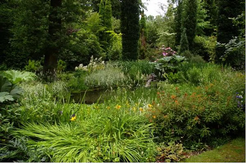 Film location D2080 in Surrey (photo 7)