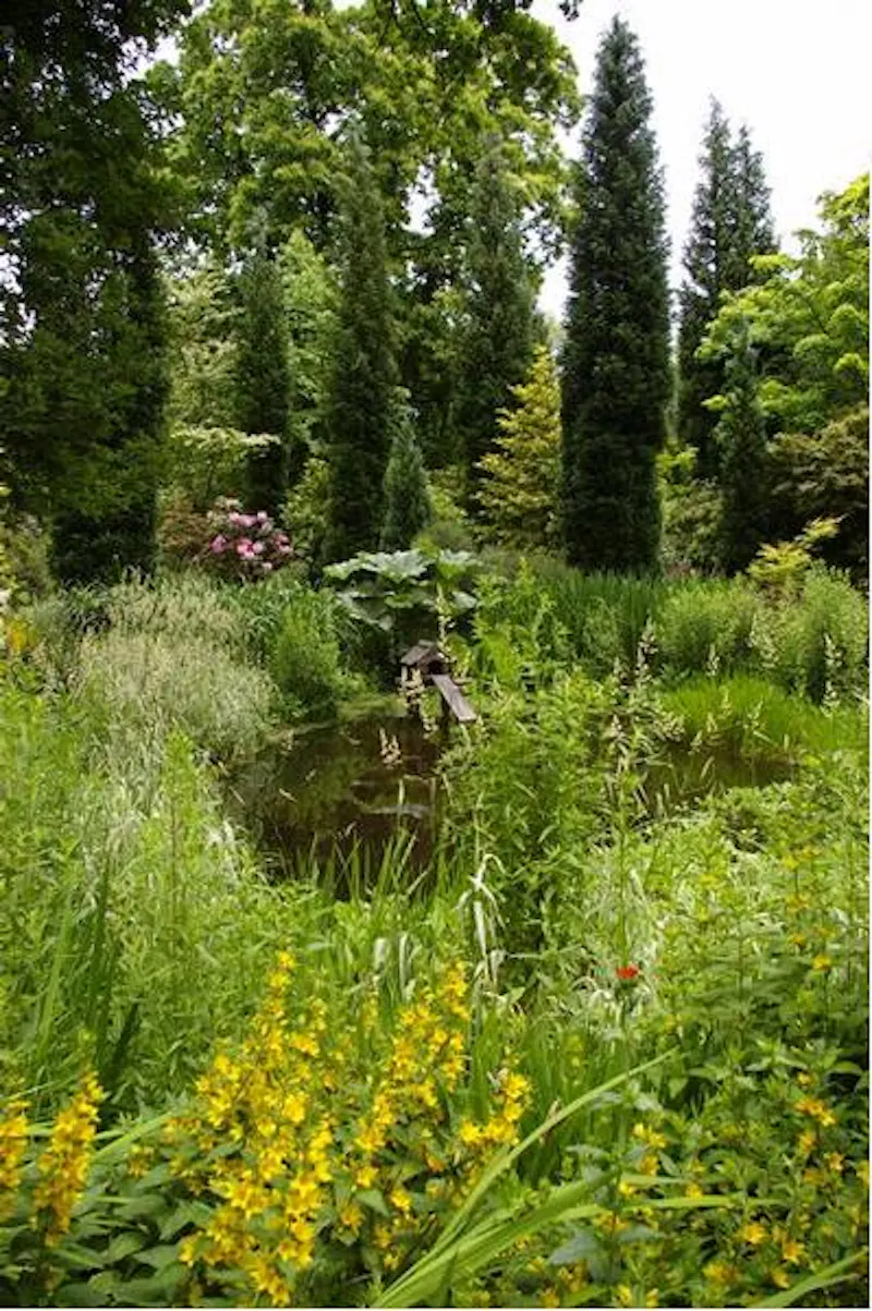 Film location D2080 in Surrey (photo 9)