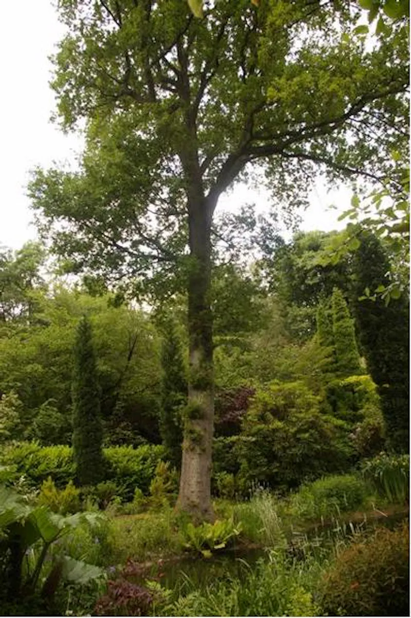 Film location D2080 in Surrey (photo 12)
