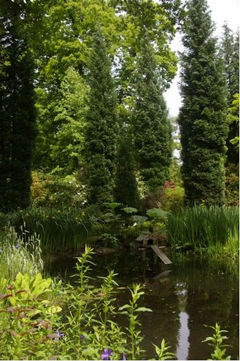 Pond at Film location D2080 in Surrey (photo 13)