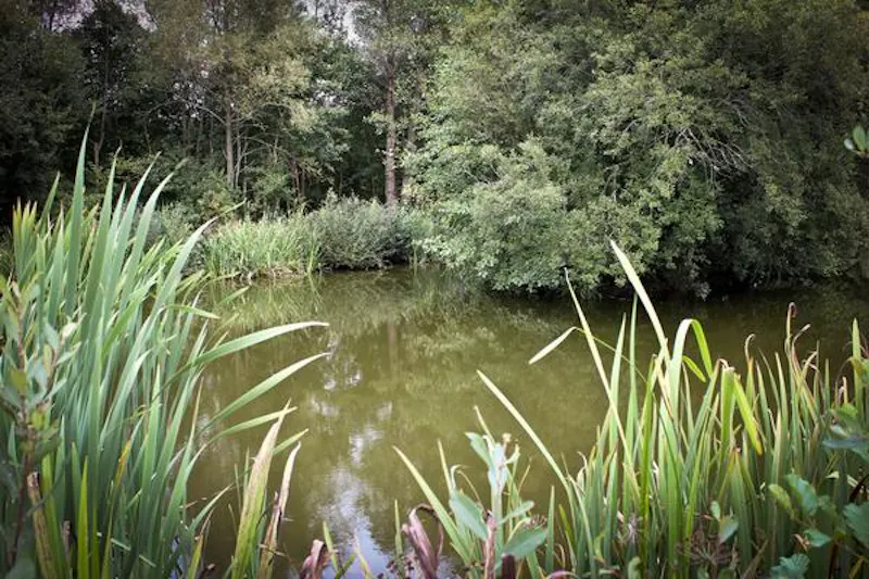 West Sussex medieval manor, H170 (photo 42)