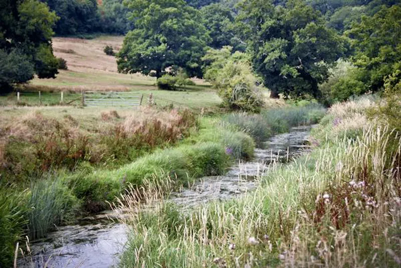 Views - country at West Sussex medieval manor, H170 (photo 45)