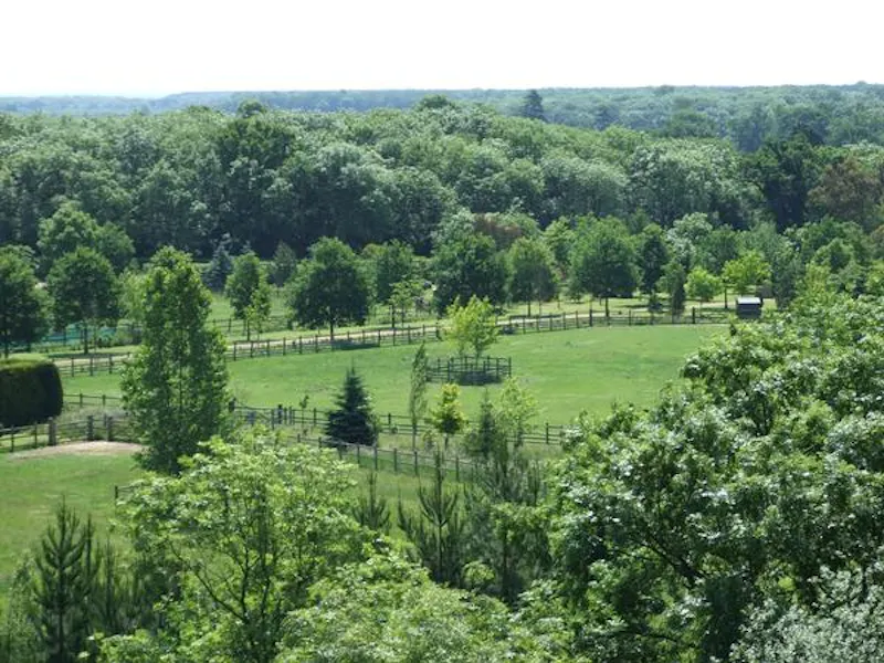 Film location L647 in Northamptonshire (photo 37)