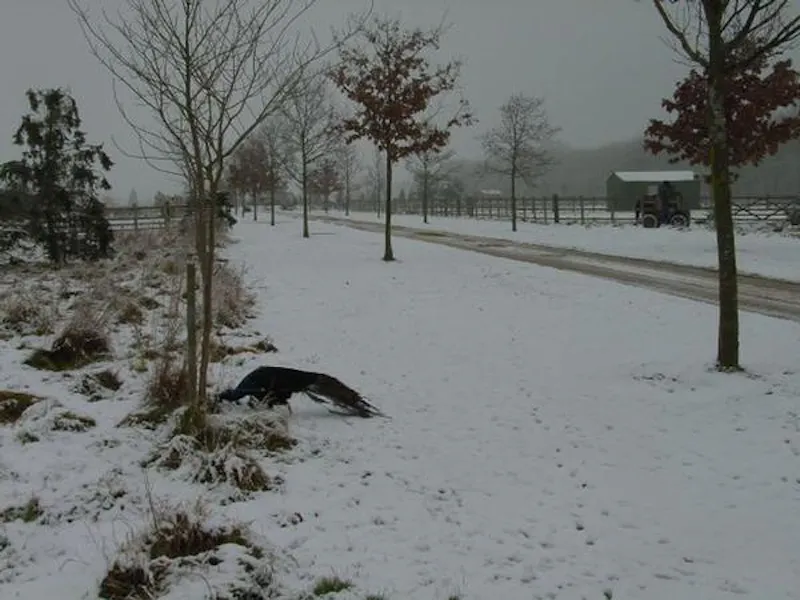 Film location L647 in Northamptonshire (photo 49)
