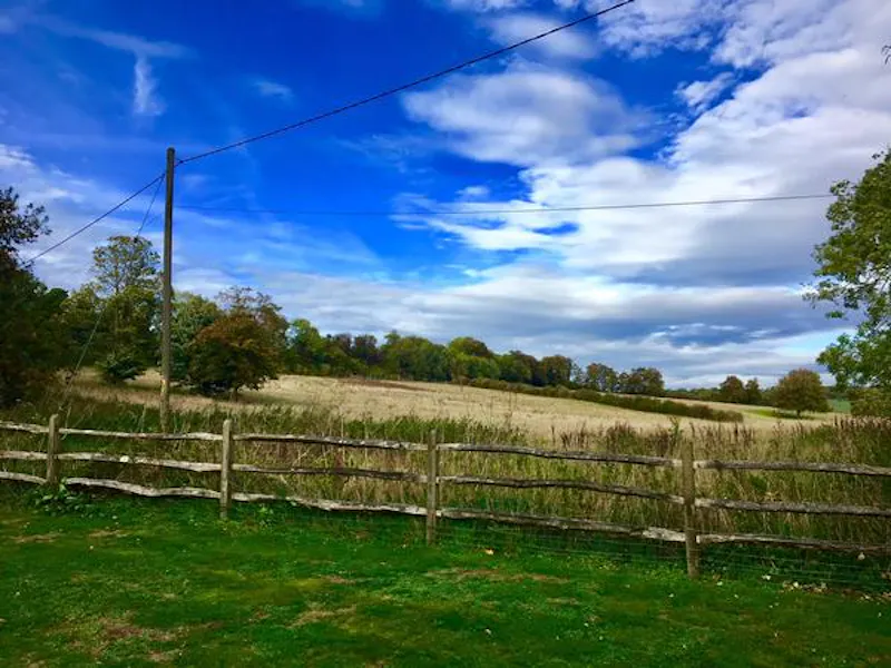 Film location C848 in Surrey (photo 33)