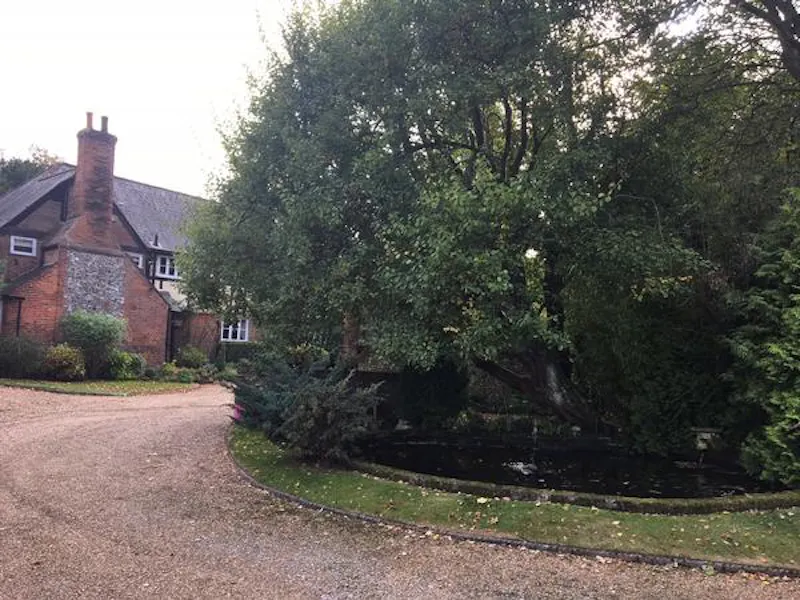 Film location C848 in Surrey (photo 34)